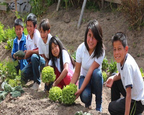 Seeds of Hope
